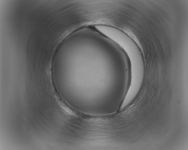 X0000072540389200608111818