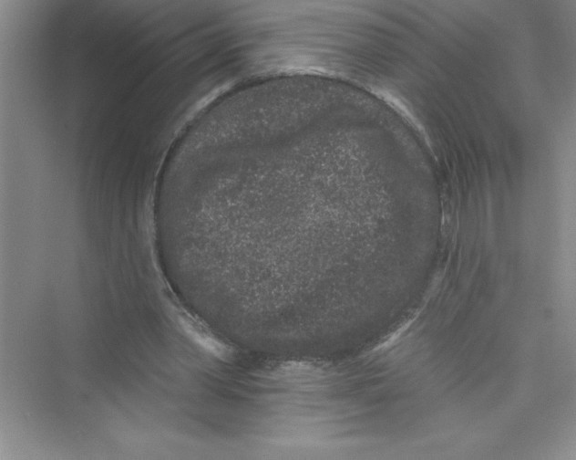 X0000072540390200608111818