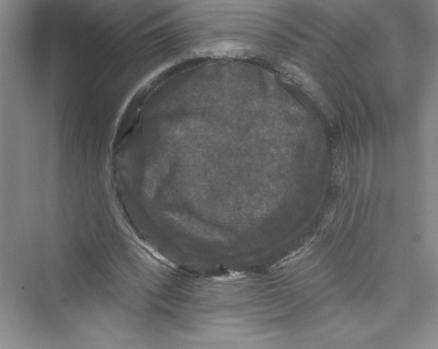 X0000072540392200608111818