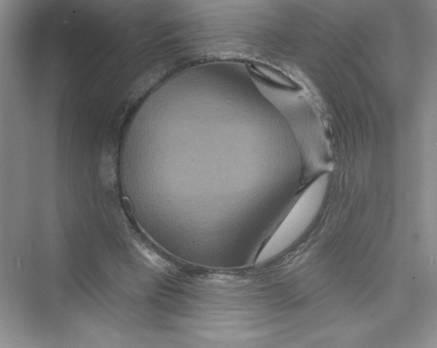 X0000072540393200608111818