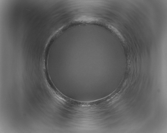 X0000072540399200608111818