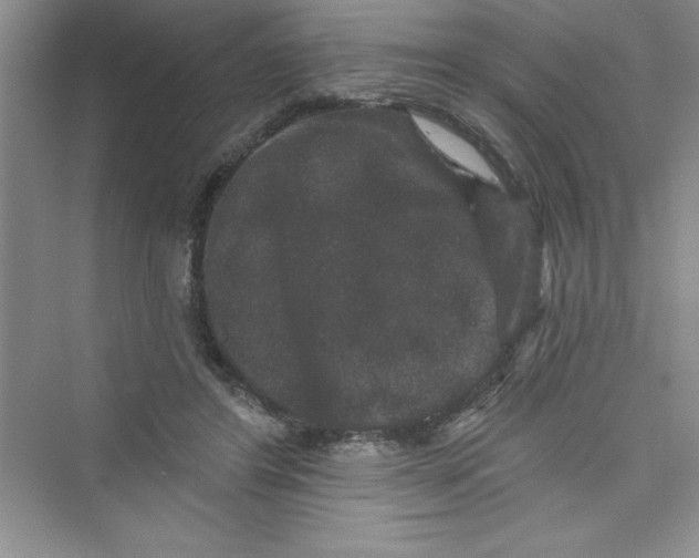 X0000072540404200608111818