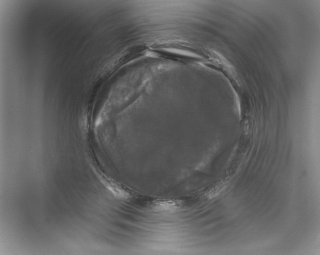 X0000072540405200608111818