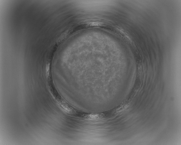 X0000072540406200608111818