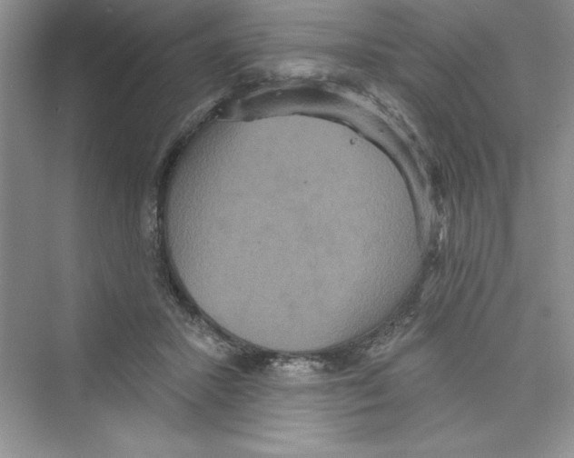 X0000072540407200608111818