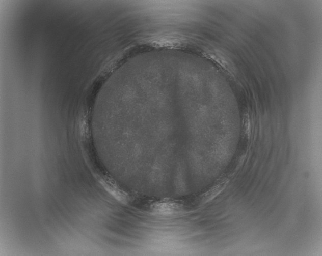 X0000072540408200608111818