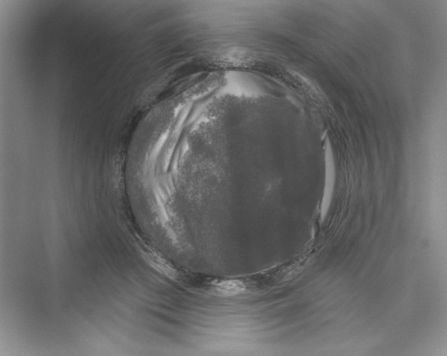 X0000072540409200608111818