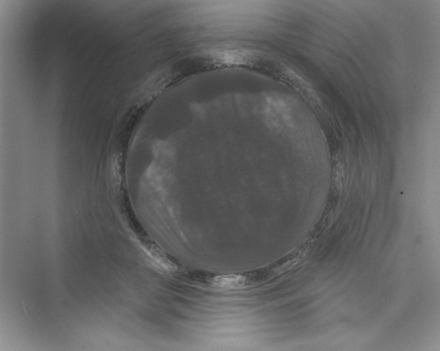 X0000072540410200608111818