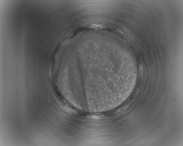 X0000072540412200608111818