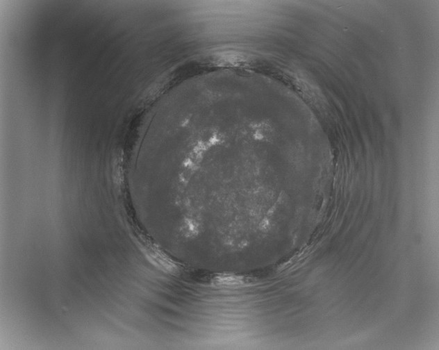 X0000072540413200608111818