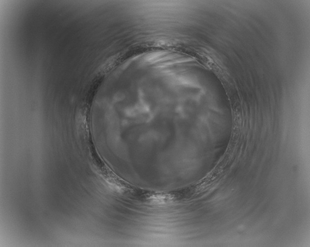 X0000072540415200608111818