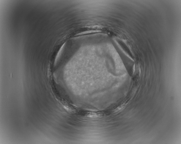 X0000072540416200608111818