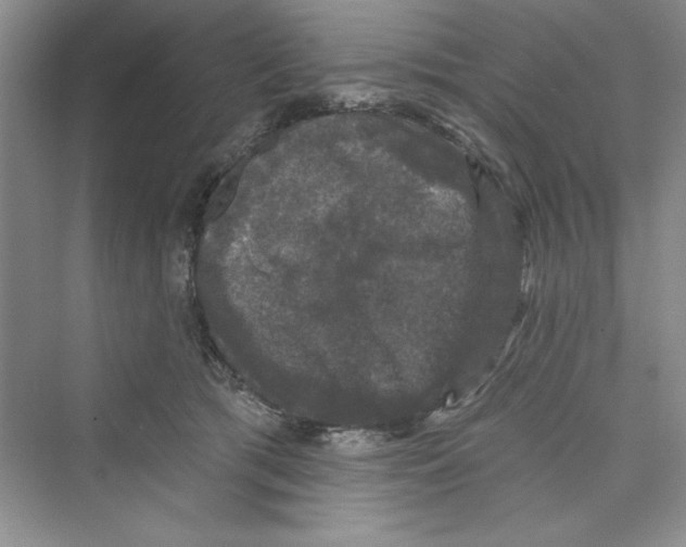 X0000072540417200608111818