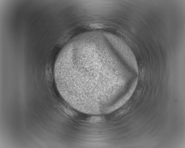 X0000072540418200608111818