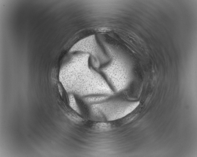 X0000072540421200608111818