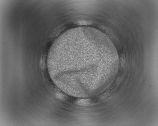 X0000072540422200608111818