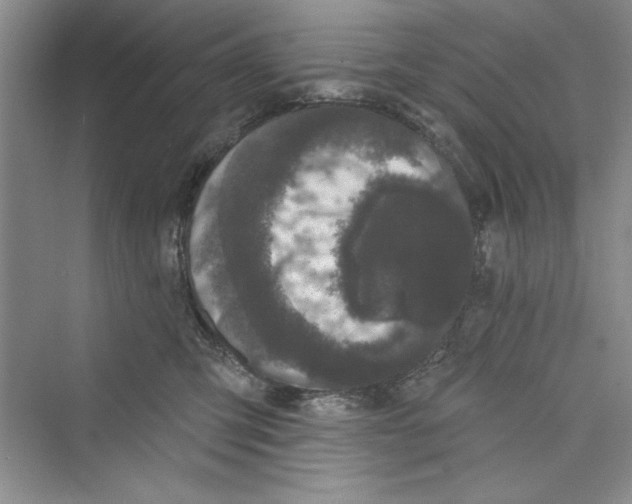 X0000072540423200608111818