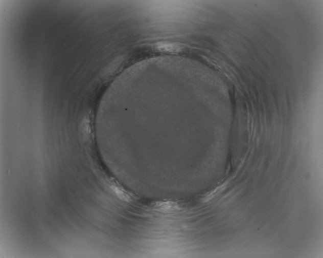 X0000072540424200608111818