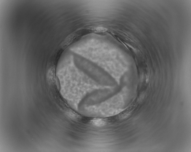 X0000072540425200608111818