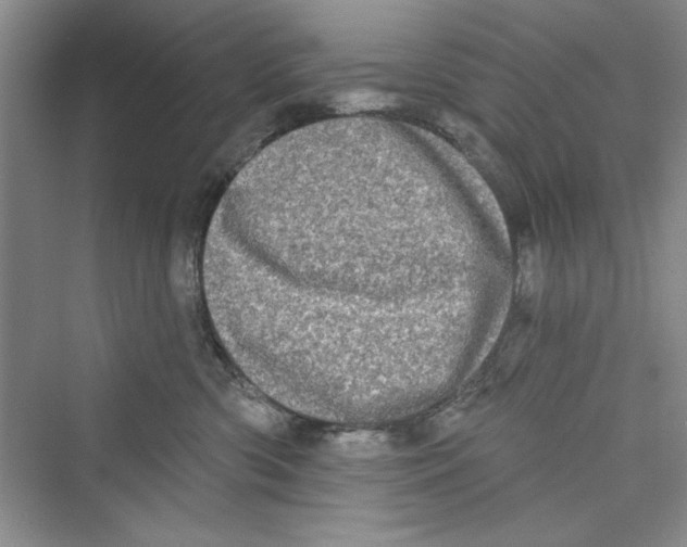 X0000072540426200608111818