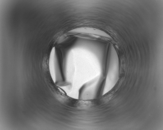 X0000072540429200608111818