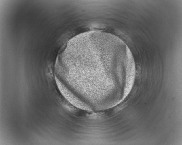 X0000072540430200608111818