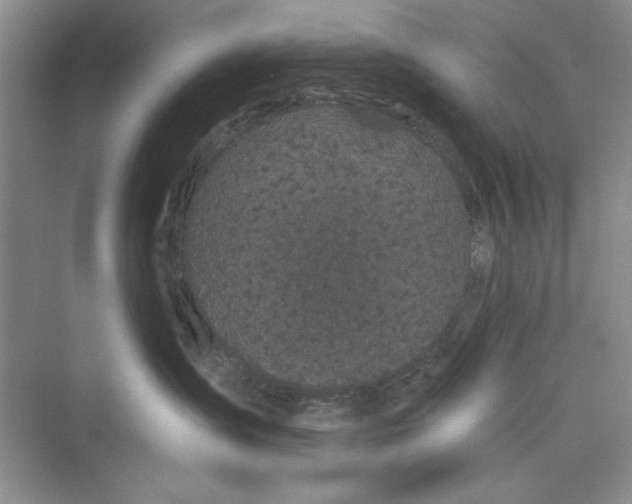 X0000072540431200608111818