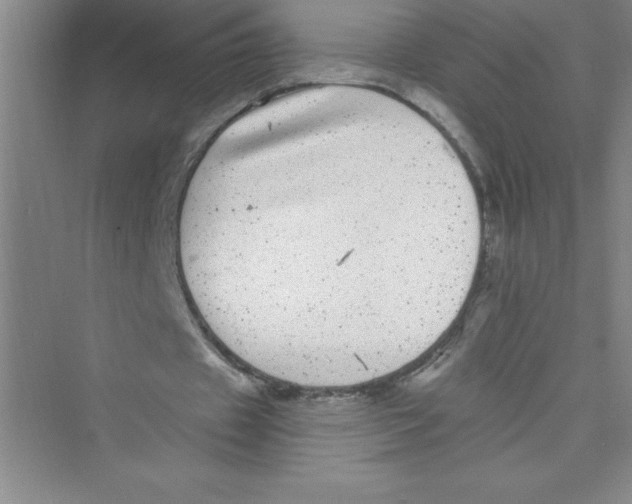 X0000072540433200608111817