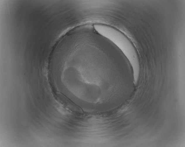 X0000072540434200608111817