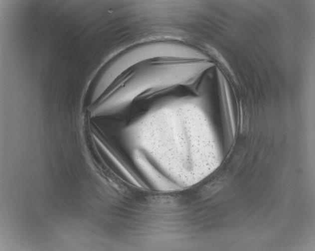 X0000072540435200608111817