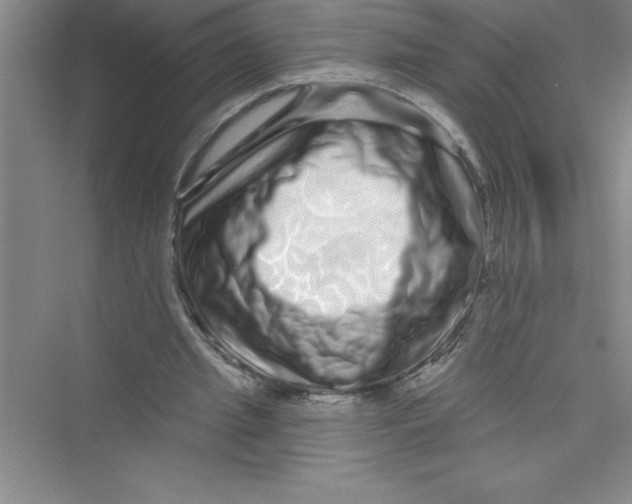 X0000072540437200608111817