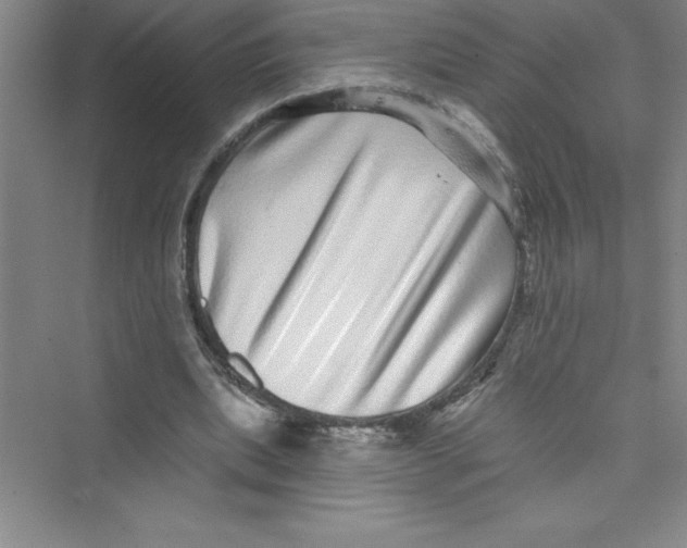 X0000072540439200608111817