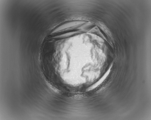 X0000072540441200608111817