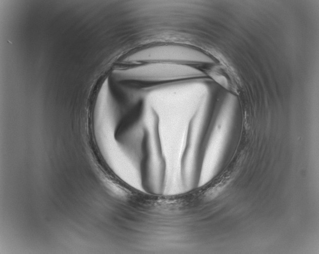 X0000072540445200608111817