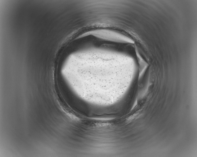 X0000072540446200608111817