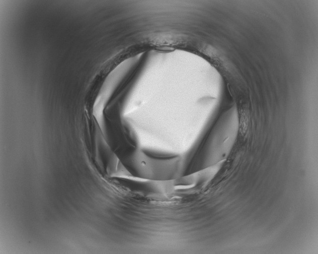 X0000072540448200608111817