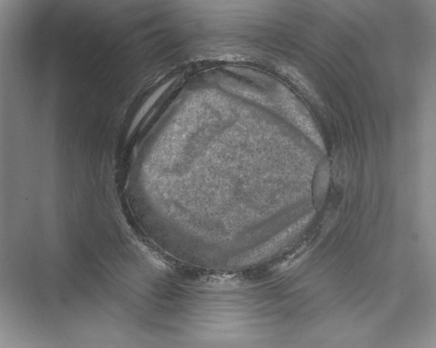 X0000072540449200608111817