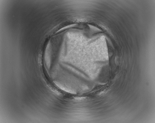 X0000072540450200608111817