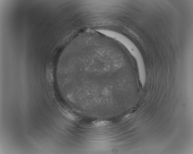 X0000072540452200608111817