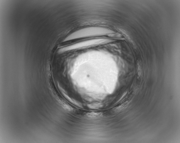 X0000072540453200608111817