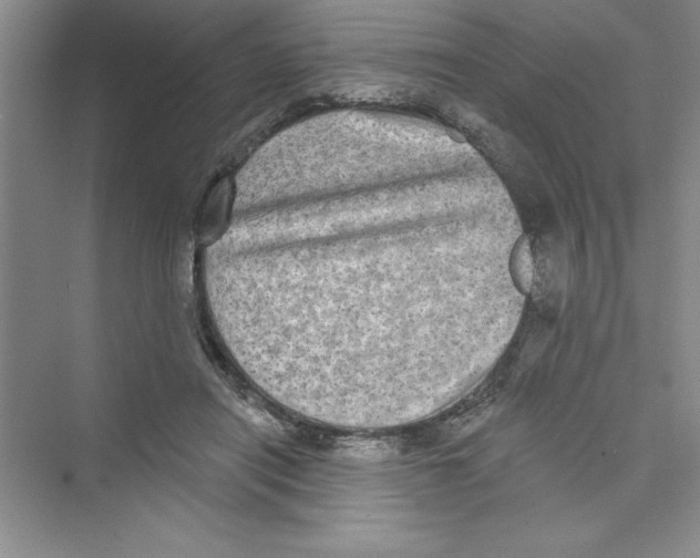 X0000072540454200608111817