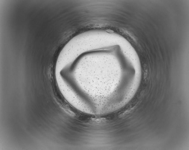 X0000072540455200608111817