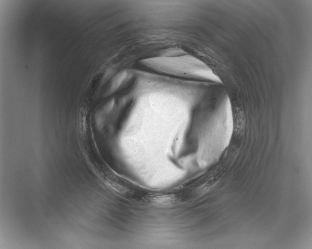 X0000072540456200608111817