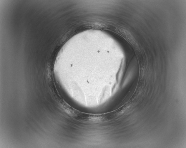 X0000072540457200608111817