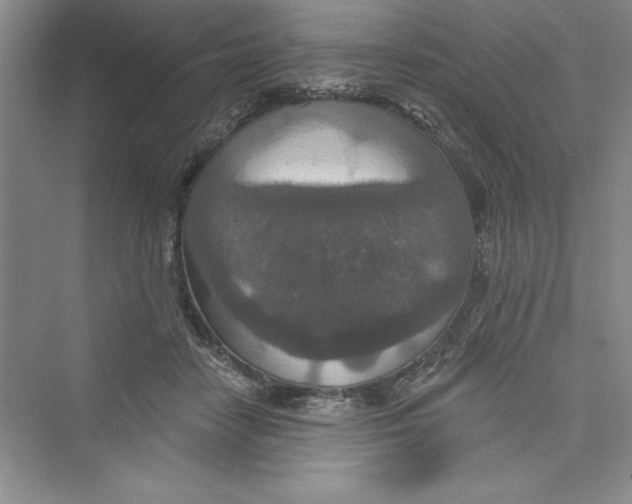 X0000072540458200608111817