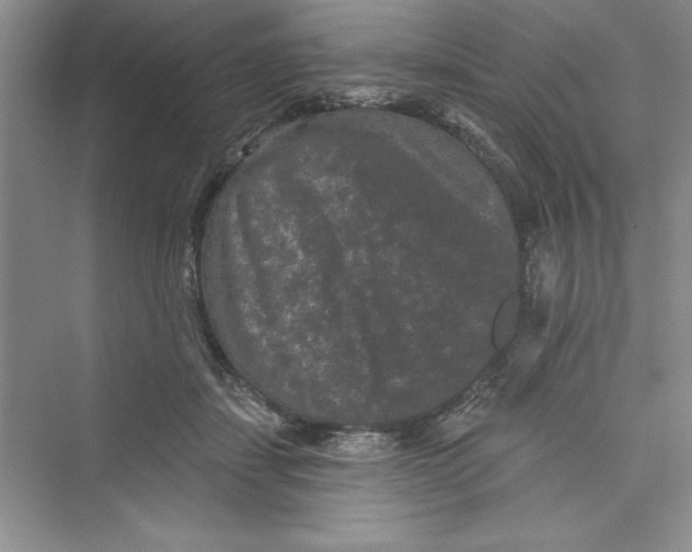 X0000072540459200608111817