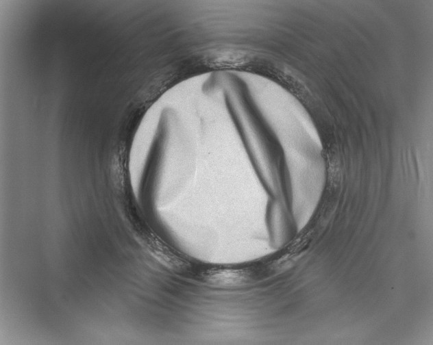 X0000072540460200608111817