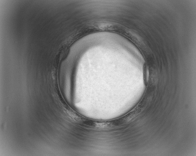 X0000072540461200608111817