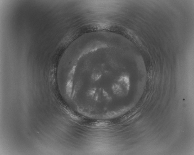 X0000072540462200608111817