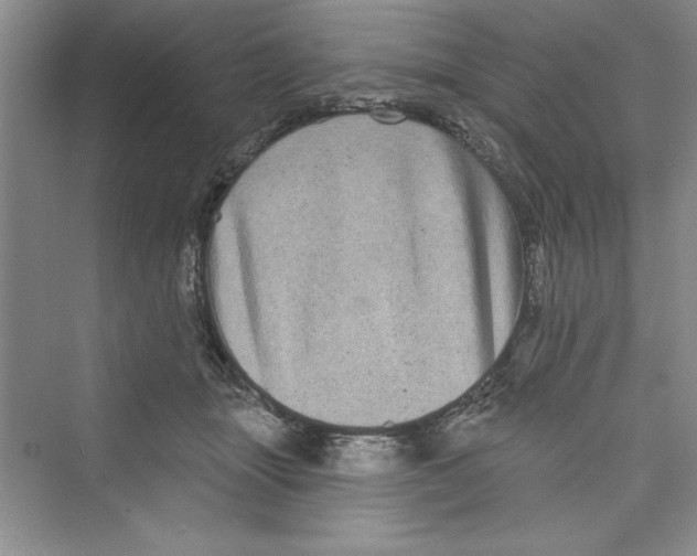 X0000072540463200608111817